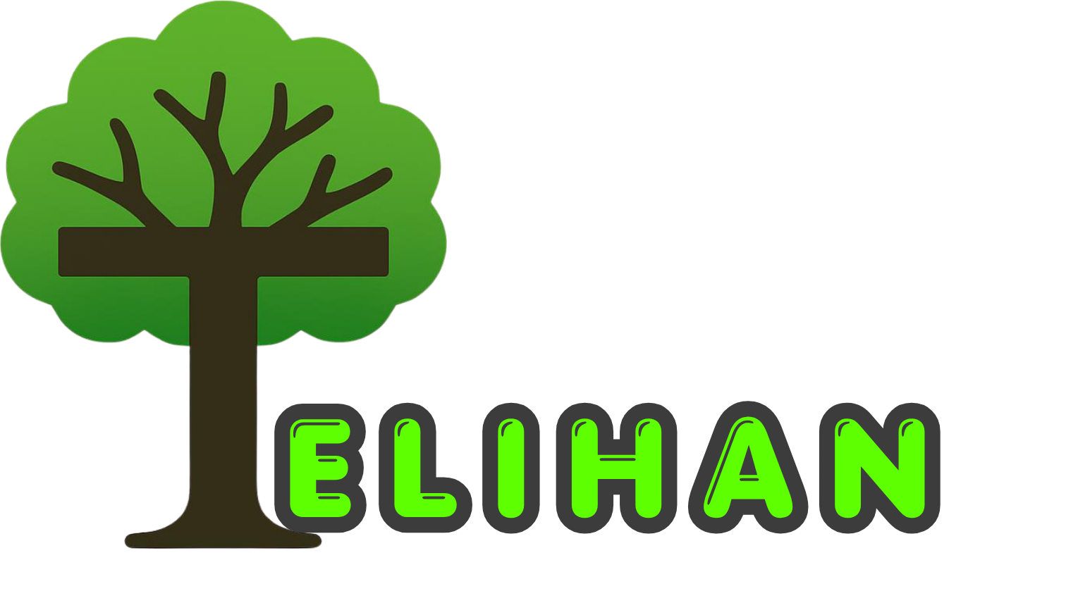 telihan.com