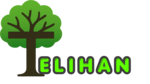 telihan.com